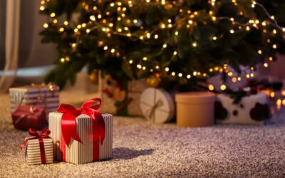 Surviving Christmas