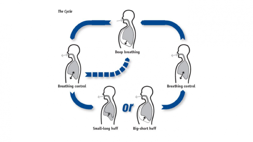 Active Cycle Of Breathing Techniques (acbt) - Watsonia Physiotherapy