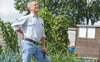 How To Garden Without Hurting Your Back